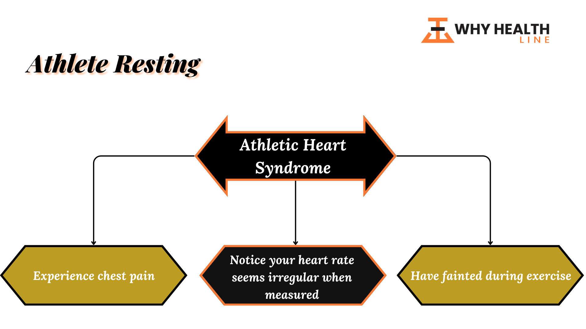 Athletic Heart Syndrome