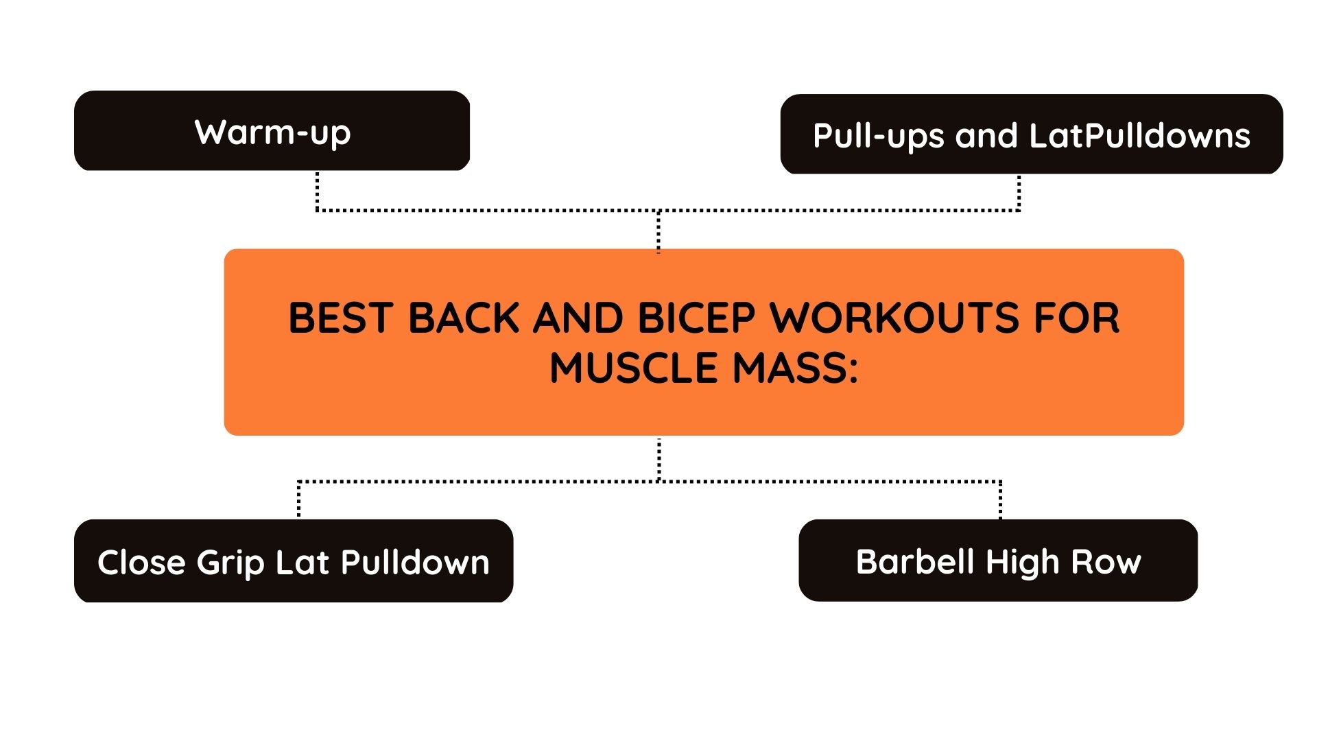 Best Back and Bicep Workouts For Muscle Mass
