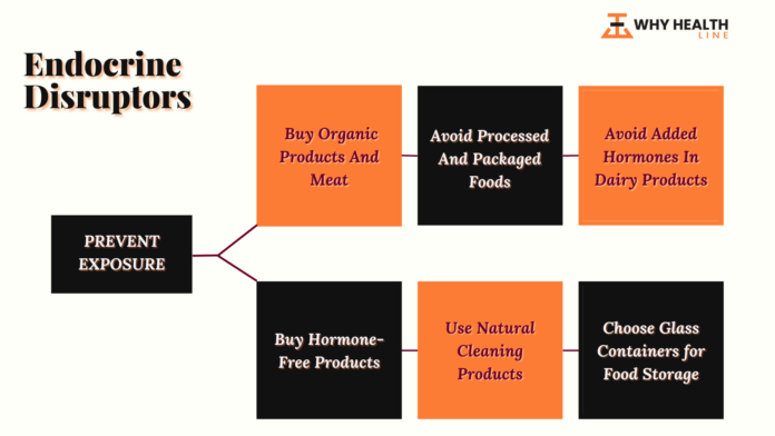 Endocrine Disruptors: How They Can Affect Your Body