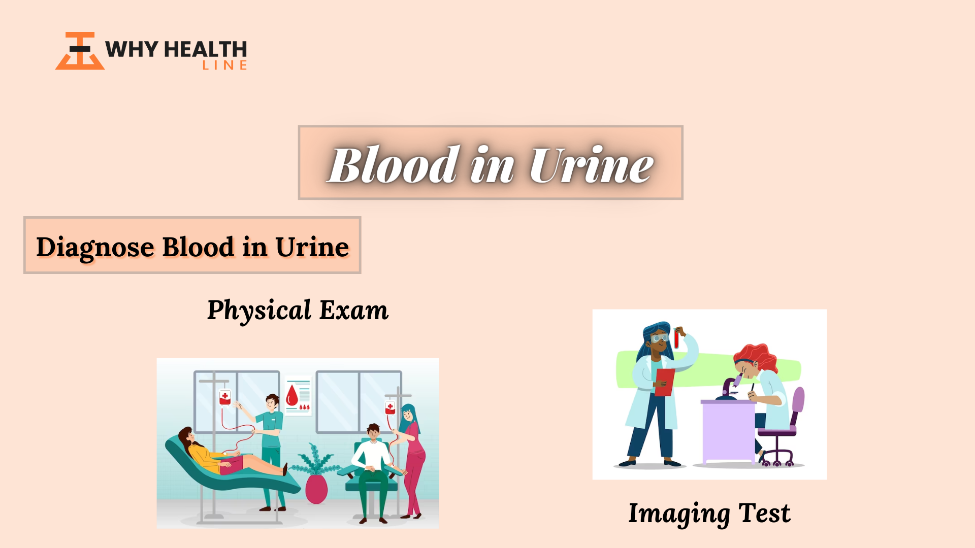 Blood in the Urine Symptoms, Diagnosis & Treatments